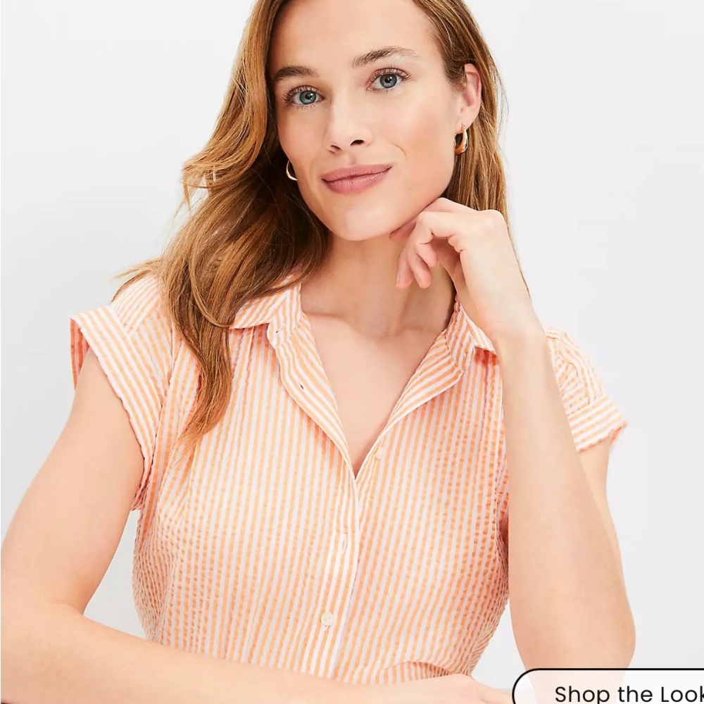 NWT The Loft Textured Stripe Dolman Shirt - Picture 2 of 7